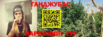 ECSTASY Донской