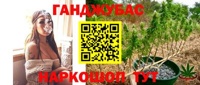 эйфоретик Дубна