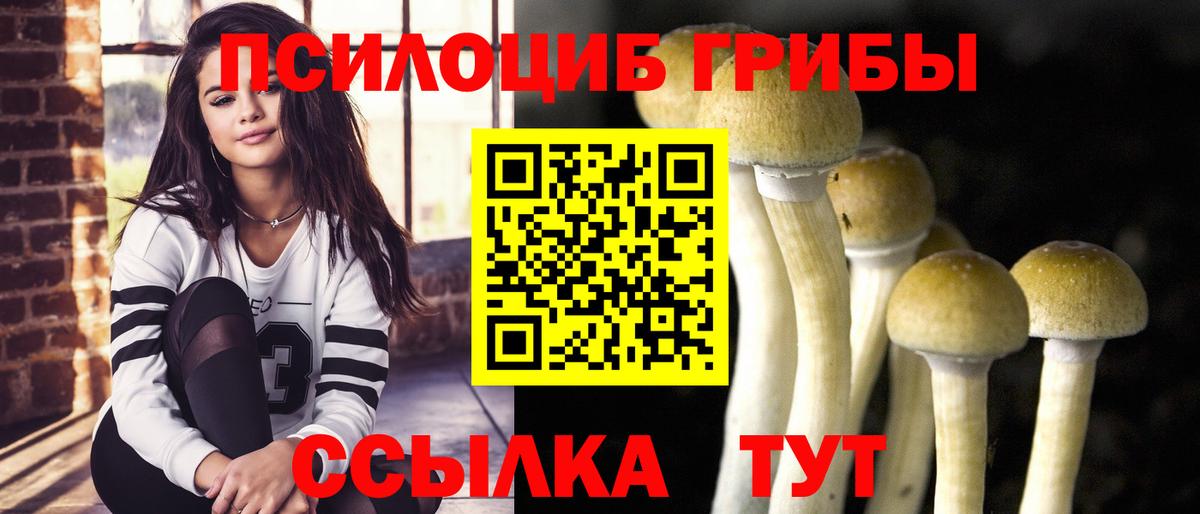 Кузнецк  Галлюциногенные грибы прущие грибы  Вход с VPN 